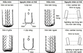 meo nhin lop o to xe tai de biet xe bi benh gi va cach khac phuc